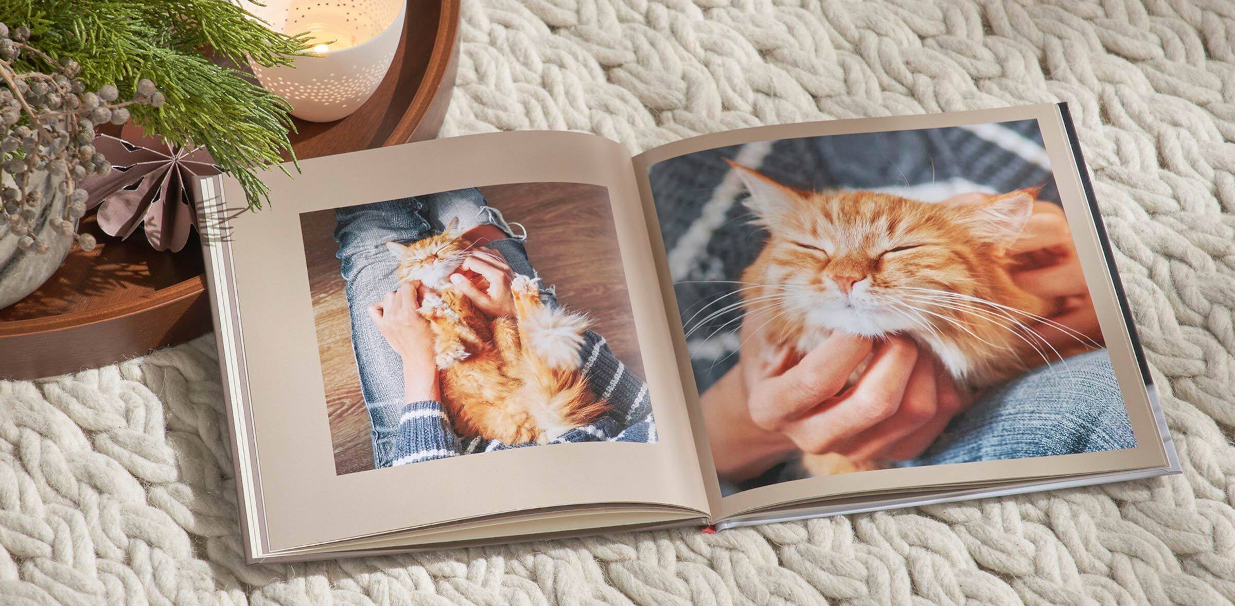 le pagine di un fotolibro dedicato a un gatto