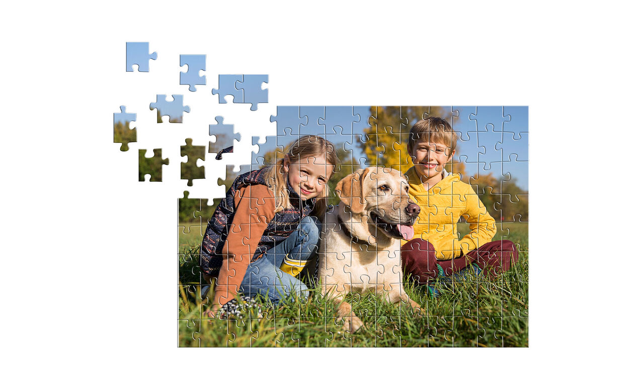 Foto puzzle: il puzzle con la tua foto
