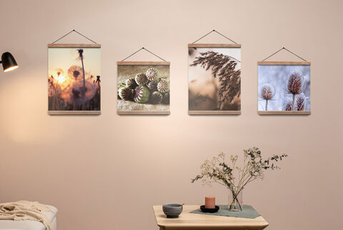 Quattro poster con foto di piante e fiori appesi alla parete tramite supporto in legno