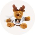 Weicher brauner Teddybär mit Geweih und T-Shirt mit Foto.